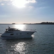 Princess V39
