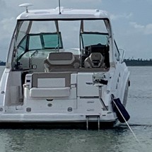 Chaparral 310 Signature