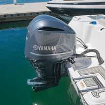 248 Sea Fox Commander