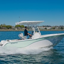 248 Sea Fox Commander