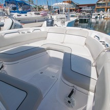 248 Sea Fox Commander