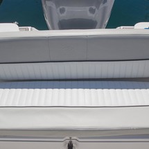 248 Sea Fox Commander