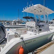 248 Sea Fox Commander