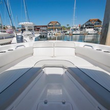 248 Sea Fox Commander