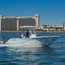 248 Sea Fox Commander