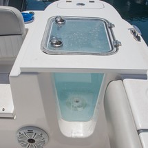 248 Sea Fox Commander