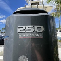 Scout Boats 251 XS