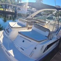 Sea Ray 370 Venture