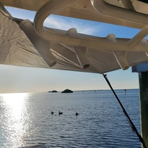 Boston Whaler 280 Outrage