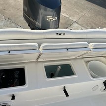 Sea Ray hunt ultra 211