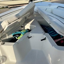 Sea Ray hunt ultra 211