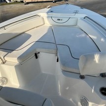 Sea Ray hunt ultra 211