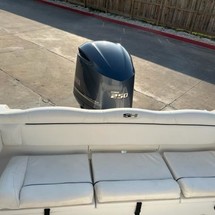 Sea Ray hunt ultra 211