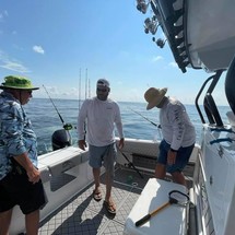 Renaissance 31