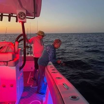 Renaissance 31