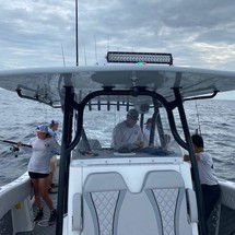 Renaissance 31