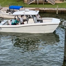 Renaissance 31