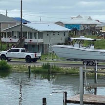 Renaissance 31