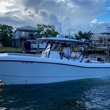 Renaissance 31