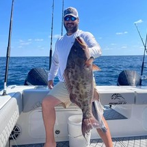 Renaissance 31