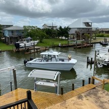 Renaissance 31