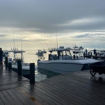 Renaissance 31