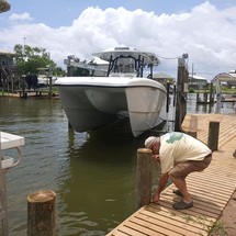 Renaissance 31