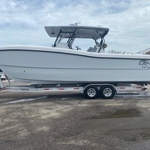 Renaissance 31