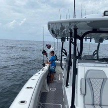 Renaissance 31