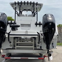 Renaissance 31