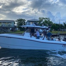 Renaissance 31