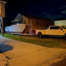 Renaissance 31