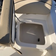 Scout Boats 175 Sportfish