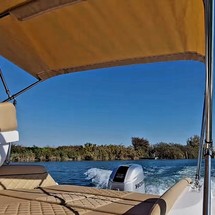 Salpa Gran Soleil 23