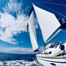 Bavaria 46