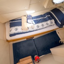 Rodman Muse 54