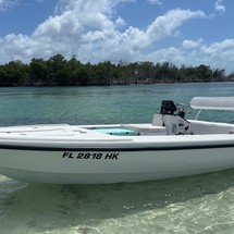 Action craft coastline te 1802