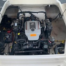 Chaparral 244 Xtreme
