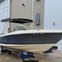 Chris-Craft Catalina 29 Sun Tender