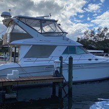 Sea ray 500 db sedan bridge