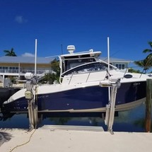 Striper 290 WA