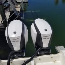 Striper 290 WA