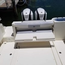 290 Striper WA