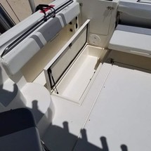 290 Striper WA