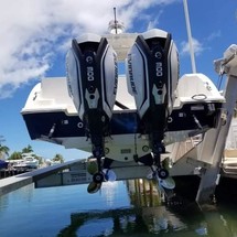 290 Striper WA