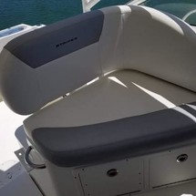 Striper 290 WA