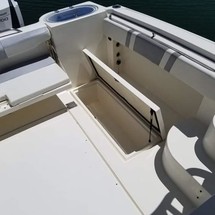 290 Striper WA