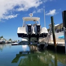 290 Striper WA