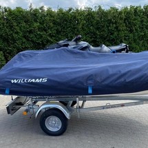 Williams Turbojet 325