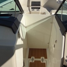 Boston Whaler 270 Vantage